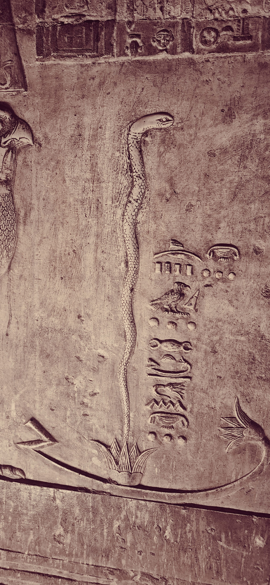 Rosa Gnostika – Chemin initiatique du Souvenir Originel, lumière réactivant l’ADN sacré